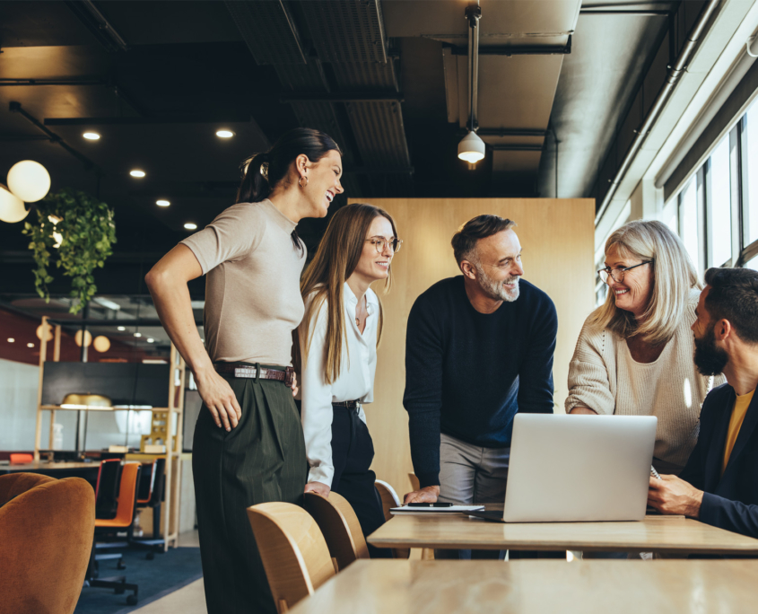 People In Team Office 21