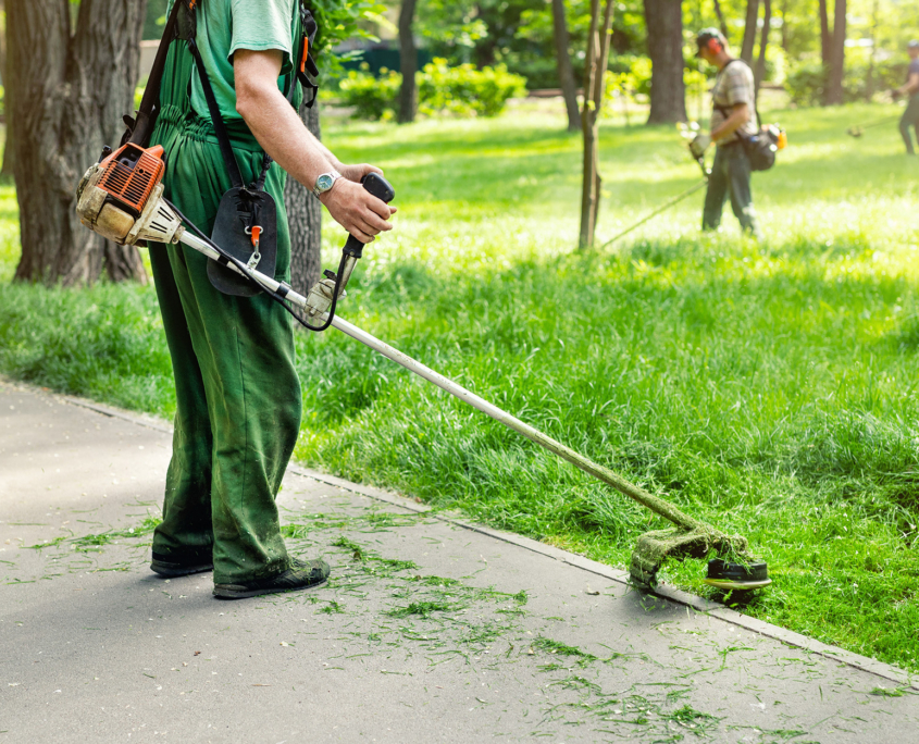Worker Mowing Tall Grass With Electric Trimmer